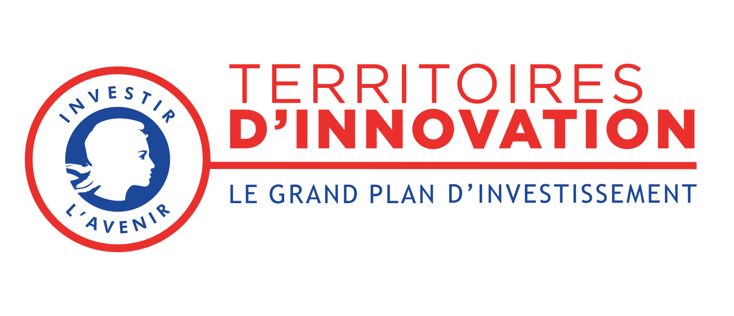 Logo Territoire d'innovation, le grand plan d'investissement, investir l'avenir