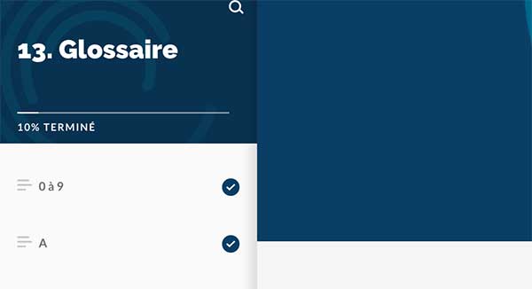 Capture d'écran du MOOC, partie 13 Glossaire