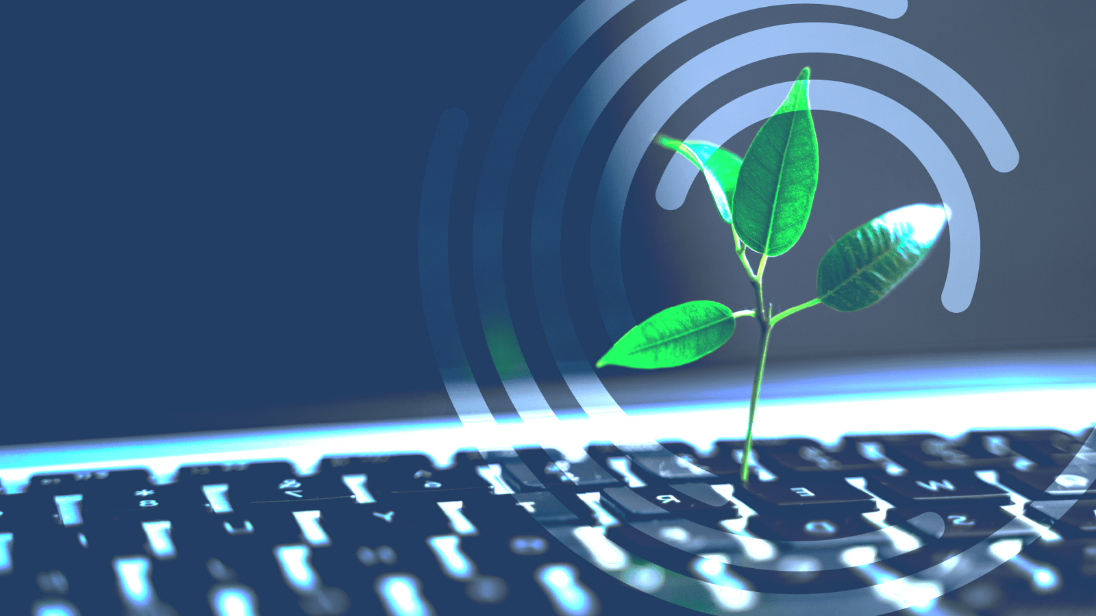 Capture d'écran du MOOC, mise en contexte