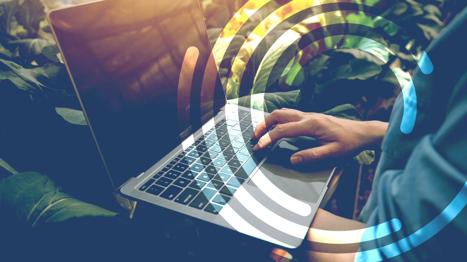 Capture d'écran du MOOC, Impacts environnementaux